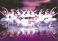 /album/fotogaleria/swanlake-1-jpg/